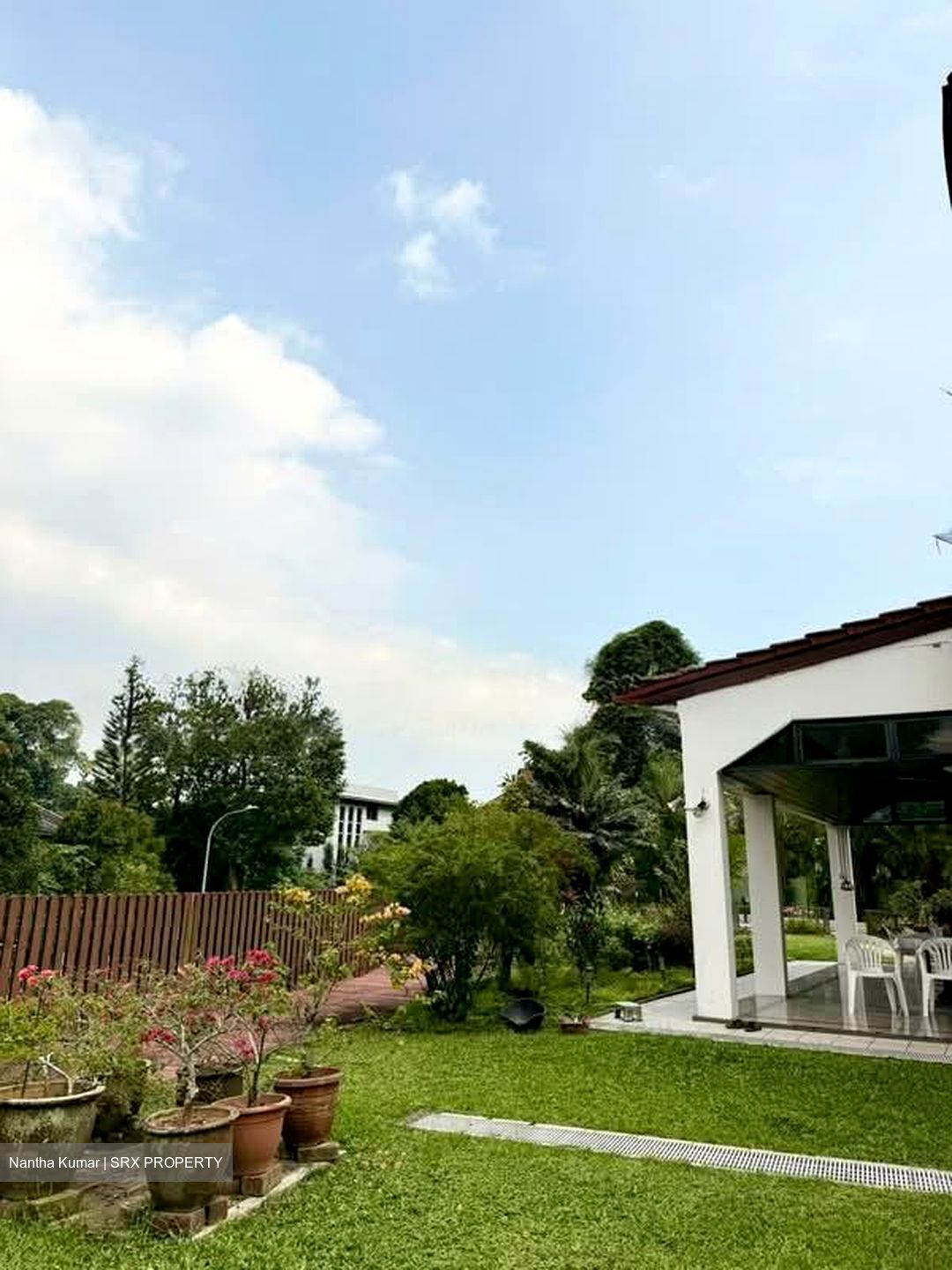 Cluny Park (D10), Detached #568064511